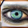 Eye color pencil drawing