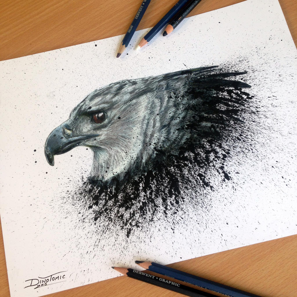 Harpy Eagle Pencil Drawing