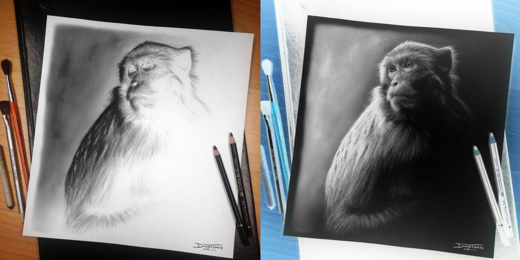 Monkey Ragebaiting Inverted Monkey Inverted Drawing by AtomiccircuS on DeviantArt