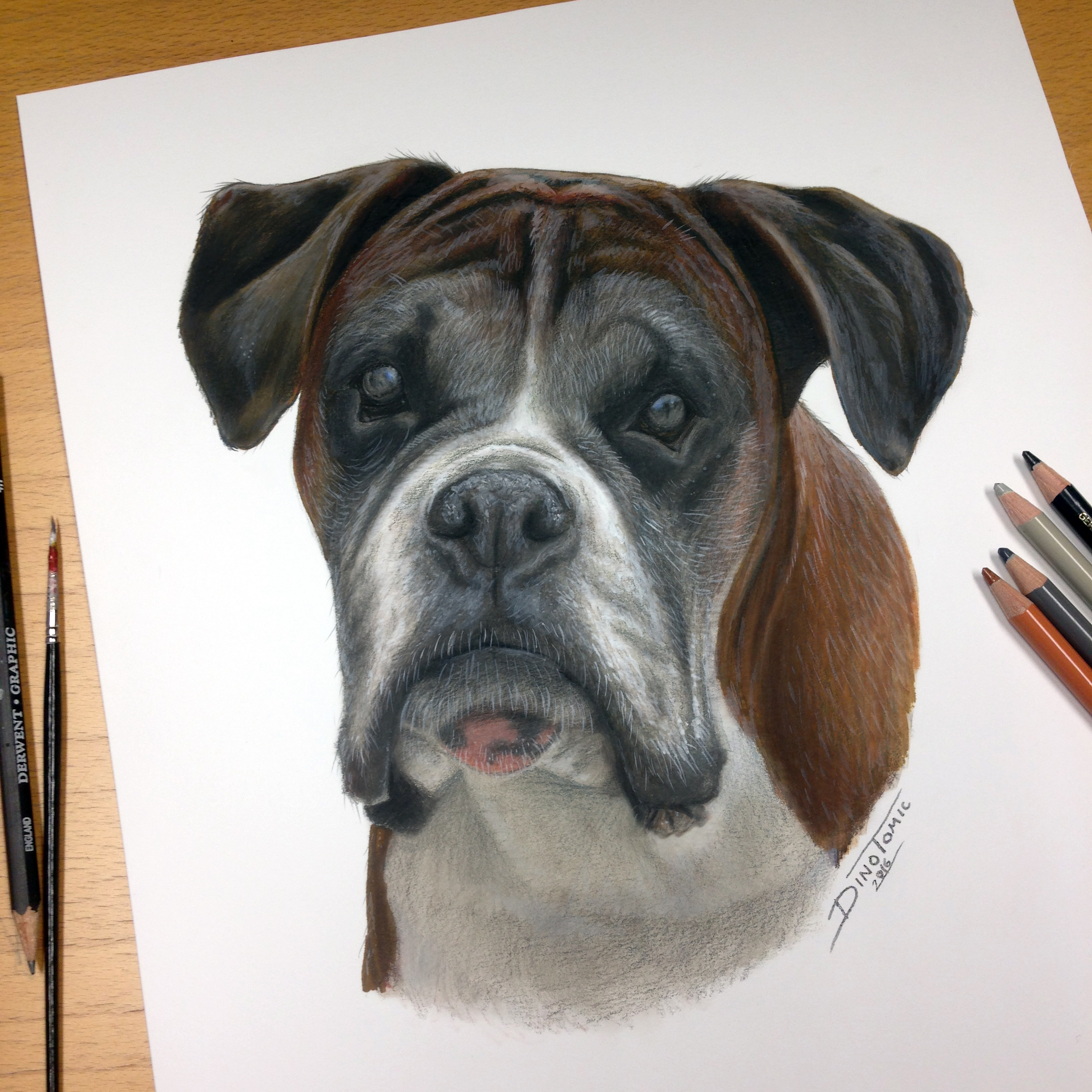 Dog Pencil Portrait