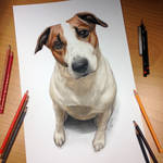 Dog Drawing by AtomiccircuS