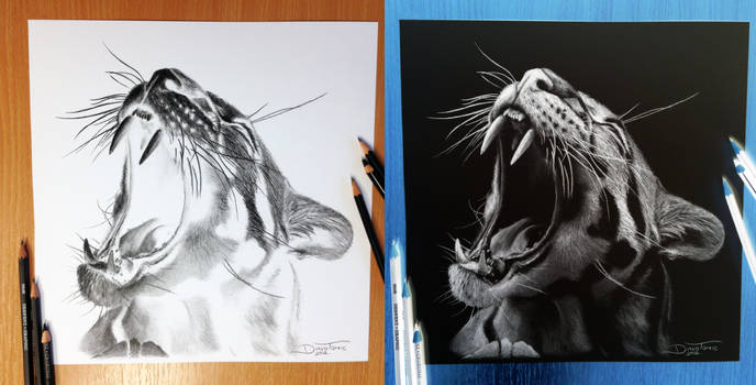 Clouded Leopard Inverted Pencil Drawing