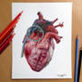 Grenade Heart PRINT!