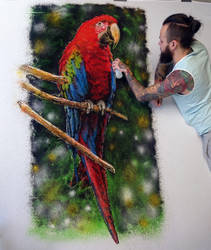Macaw made with color SAND
