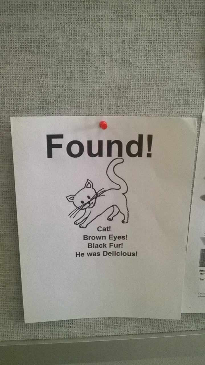 Lost Cat Found?