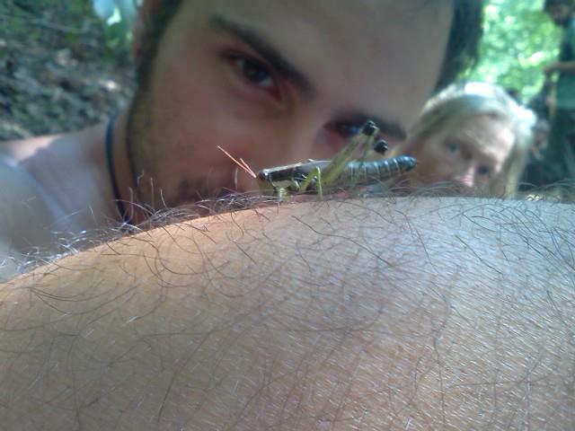 Grasshopper Curiosity