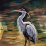 Blue Heron