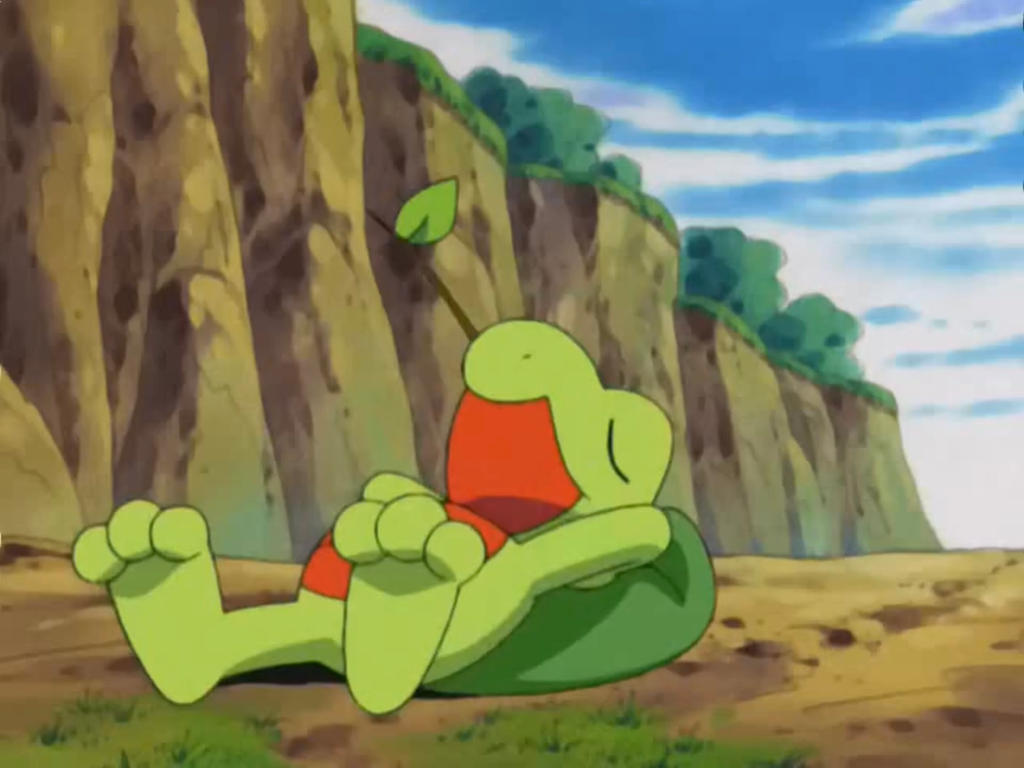 Pokemon Advanced E21 (2003) - Treecko napping by tcontreras32 on DeviantArt