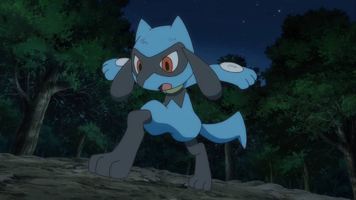 Real Life Riolu Pokemon Journeys E21 (2020) - Surprised Riolu by tcontreras32 on DeviantArt