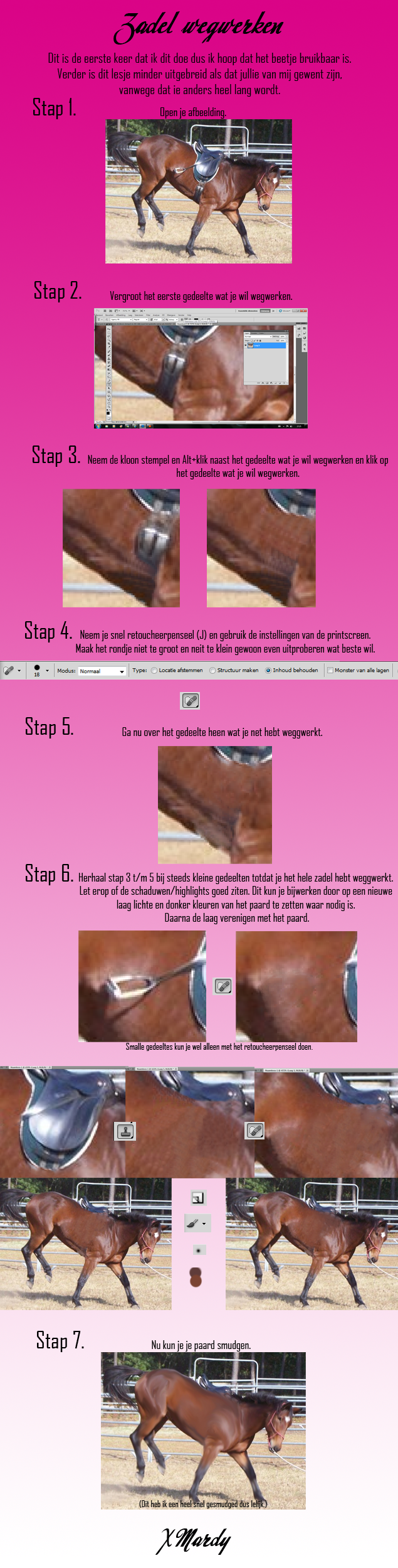 Saddle remove-Dutch-