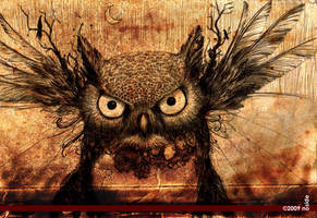 the_owl