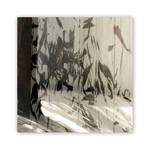 sprouts growing V by iram