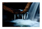 A Bit of Winter by Wilce