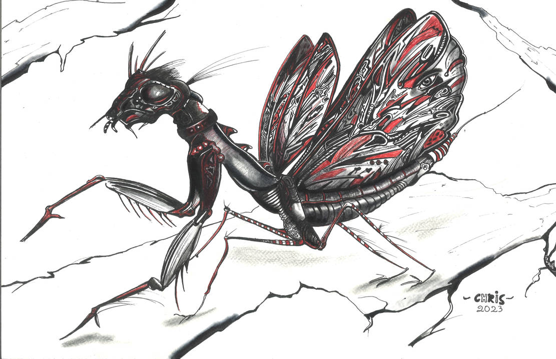 Praying Mantis by BaliIndonesia1 on DeviantArt