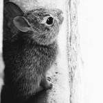 lost and insecure. by awfultosee