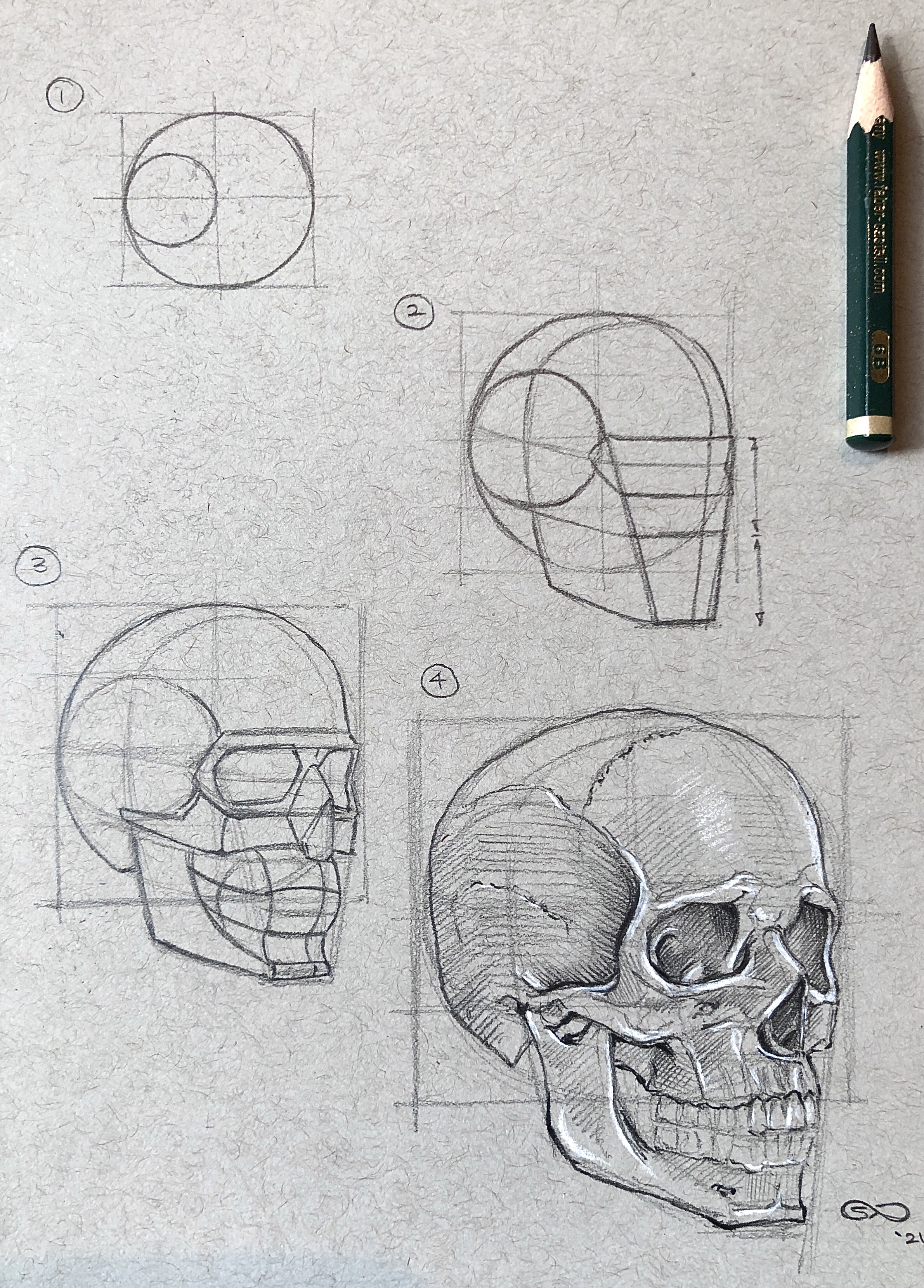 How to draw a skull with a pencil step-by-step drawing tutorial