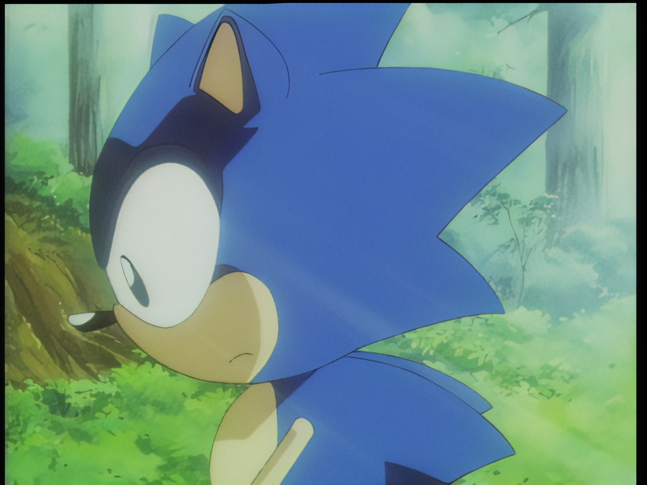 Ova Sonic Color In SONIC OVA RESTORATION: FRAME 14 by SonicChaoYT on DeviantArt