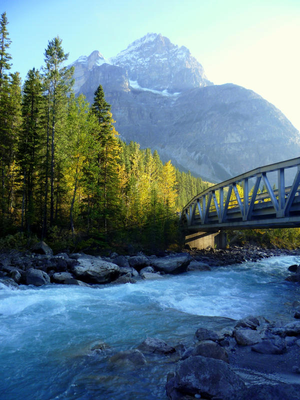 Wilderness Bridge