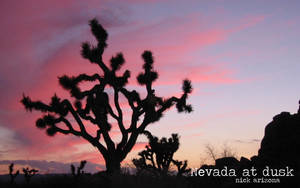 SB_Nevada at dusk