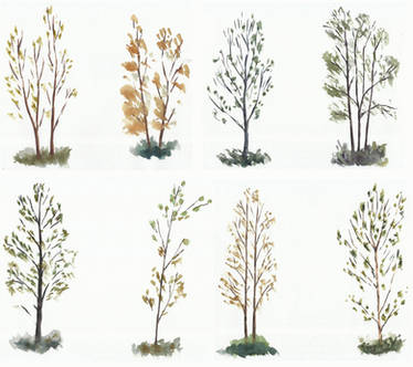 Trees studies/sketches