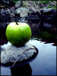 the apple by arkivbild