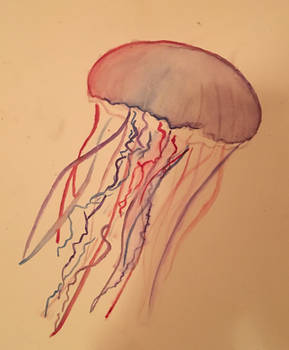 At School Thing #1: Jellyfish