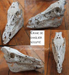 Engraved skull by GreatShinigami