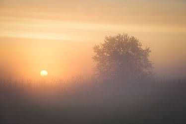 dawn of wonders - illumination