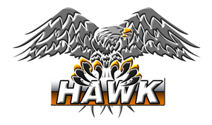 Remake Logo Hawk png by xXAlbafikaXx on DeviantArt