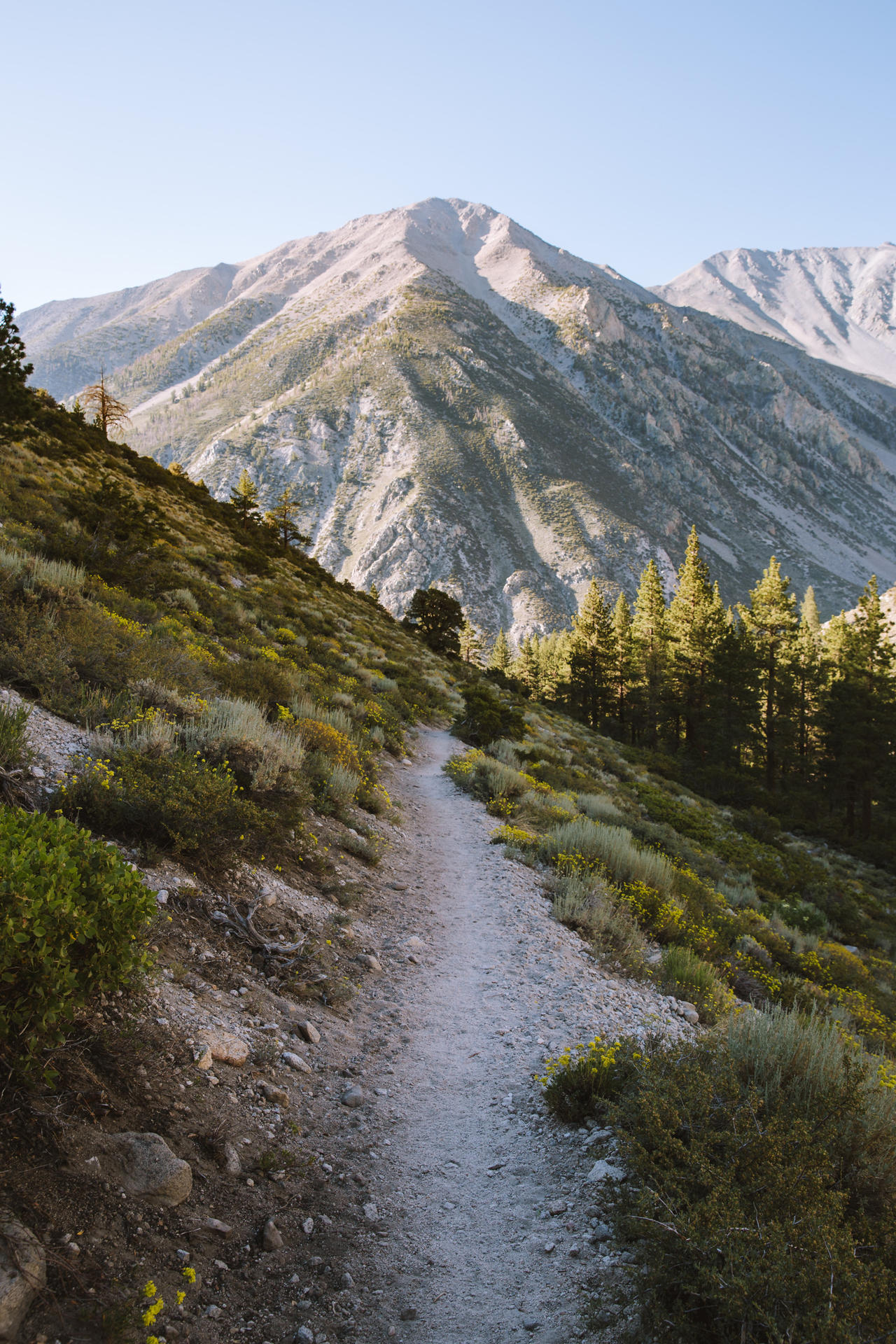 living path by VALERIUS2001 on DeviantArt