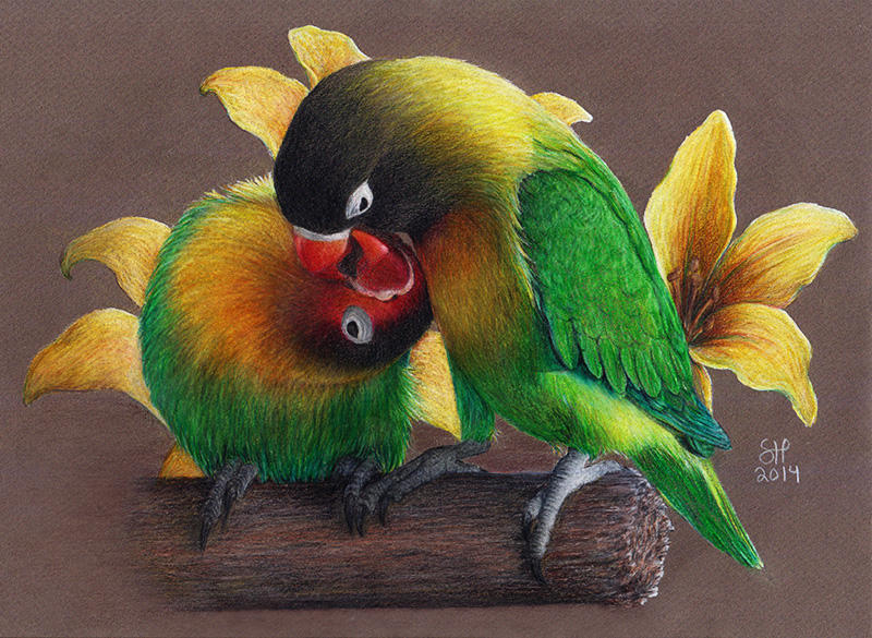 Lovebirds by shanskala