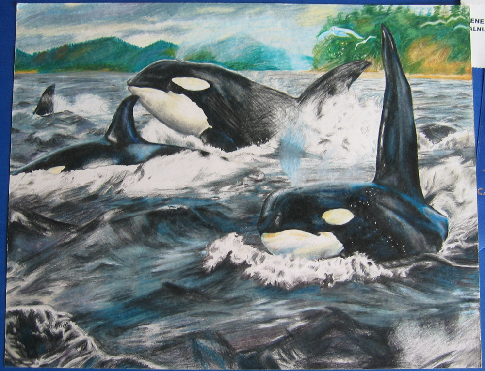 Killer Whales