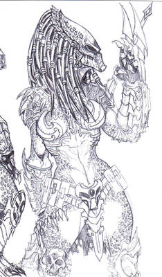 PREDADOR SKETCH FEMALE 2