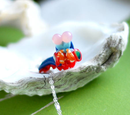 Peacock mantis shrimp stomatopoda charm