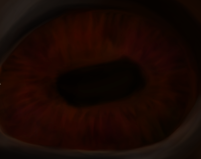 Anatomy Practice (Seattle's Eye)