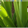 Linux screen shot
