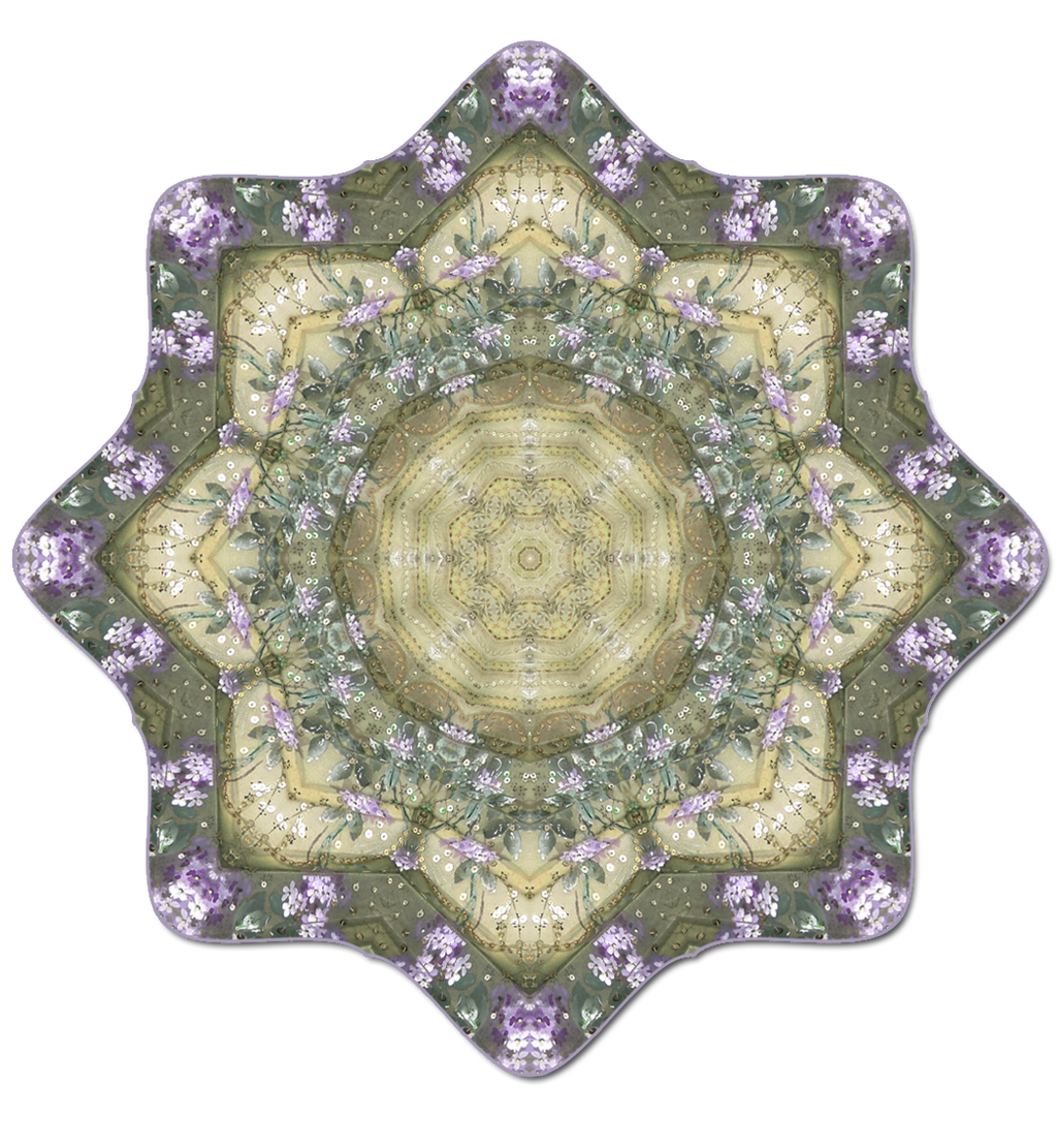 Mandala24