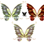 Wings of the fairy butterfly