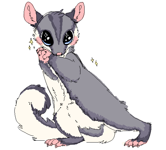 my primal zodiac sign is a sugar glider by supermilkychan on ...