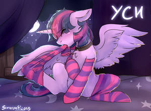 Socks for pony YCH