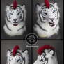White tiger Lorcan