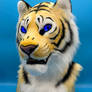 More photos of Tiger Fursuit - Nobumi
