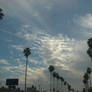 Clouds + Tree's and Buildings