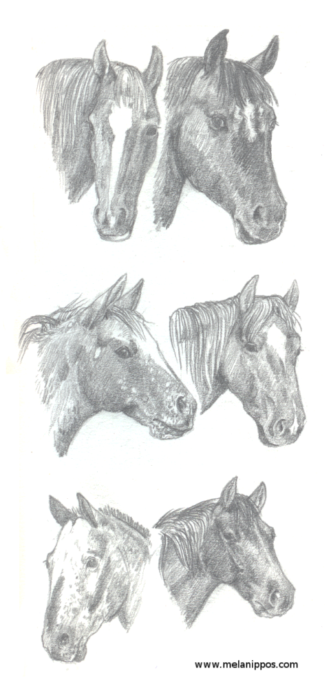 Karian horses III