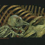 skeleton study