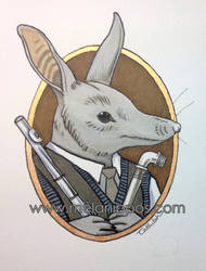 The Bilby flautist...