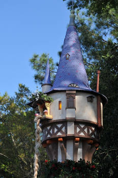 Rapunzel's Tower