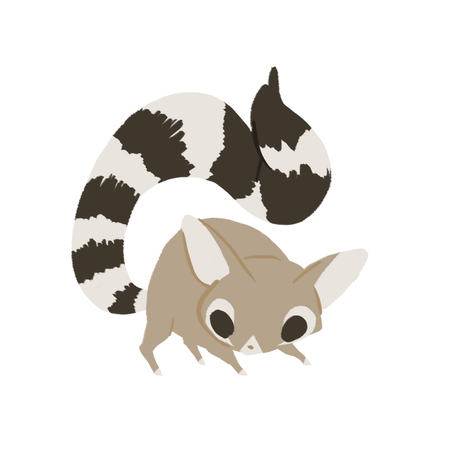 Deviantart Ringtail Ringtail cat by wolvesrevolution on DeviantArt
