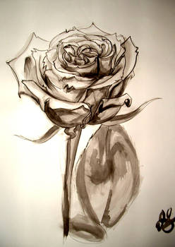 Rose 01