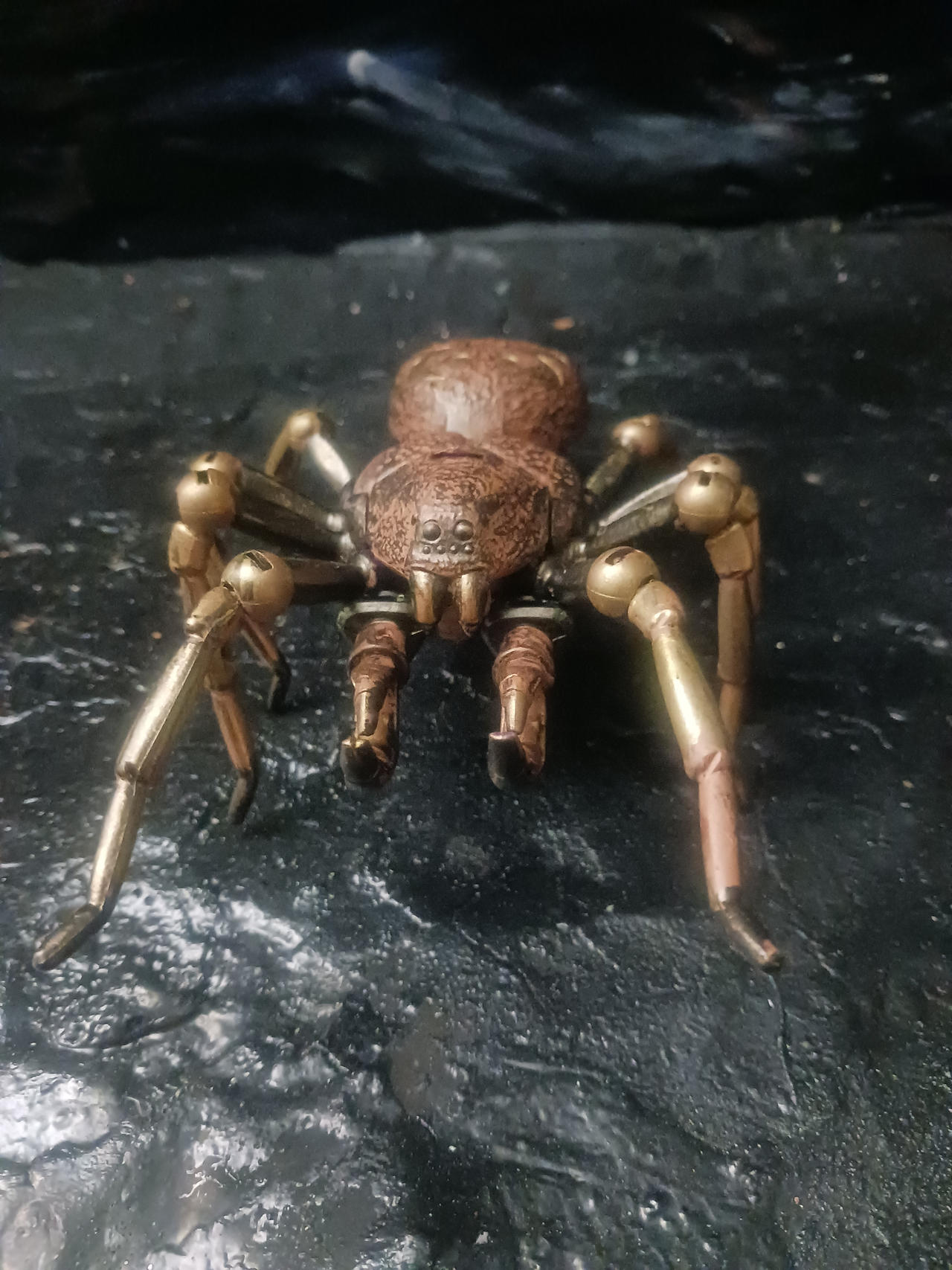 Tarantula Deviantart BW Realistic Tarantulas 6/6 by DJCustoms on DeviantArt